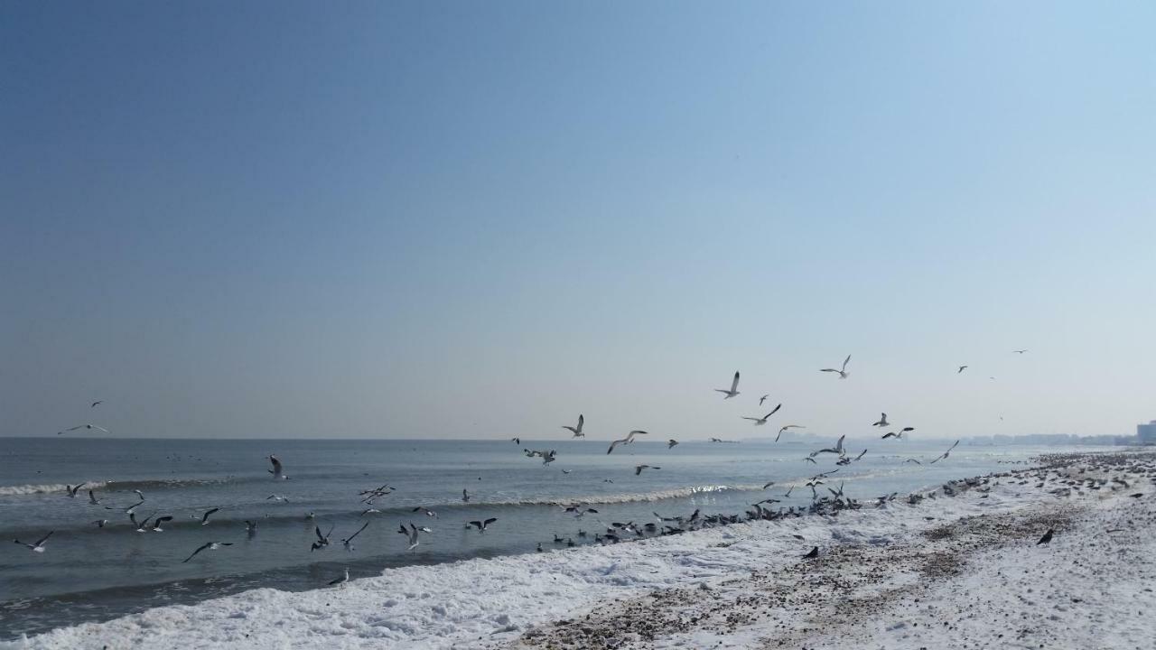 Bluemarina Apartamente Mamaia Eksteriør bilde